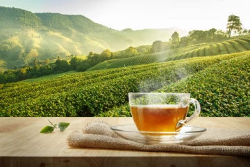 යුක්රේනයට මෙරටින් තේ යැවිම නවතියි...