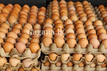 ආයෙ බිත්තර මිල වෙනස් වෙලා?.