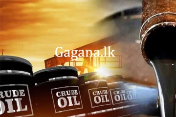 බොරතෙල් මිල ඉහළට.