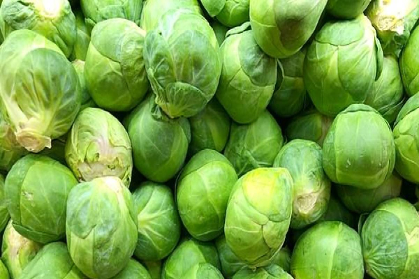 இரும்புச்சத்து அளவை அதிகரிக்க நீங்கள் உட்கொள்ள வேண்டிய 05 காய்கறிகள் | 5 Cruciferous Vegetables Boost Iron Levels