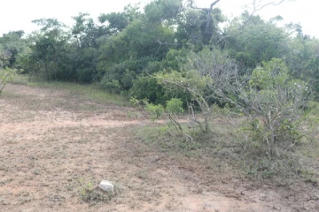 வனவளத் திணைக்களத்தினால் காணிகள் தொடர்ந்தும் ஆக்கிரமிப்பு: மக்கள் குற்றச்சாட்டு