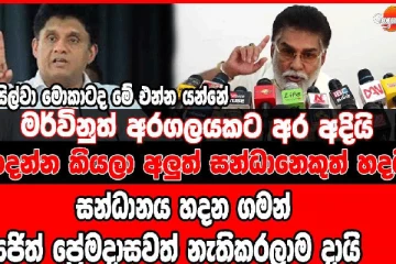 මර්වින් සිල්වා මොකාටද මේ එන්න යන්නේ. - (VIDEO)