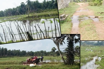 முல்லைத்தீவு கமநல சேவைகள் திணைக்களத்தின் பாராமுகம்