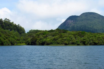 අනාරක්ෂිත ලෙස බෝට්ටු සංචාරයේ යෙදුණු 5දෙනෙකුට සිදුවූ අවාසනාවන්ත සිදුවීම..