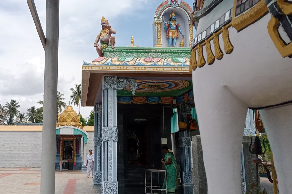 நாமக்கல்லில் சுமார் 23 ஆண்டு காலம் சேவை செய்த கோவில் குதிரை மரணம் | Namakkal Temple Horse Dies After 23 Years