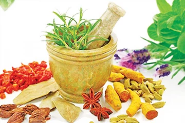 நோய்களுக்கு தீர்வு தரும் சித்த மருத்துவம்! இதோ சில உங்களுக்காக