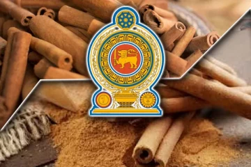 2025ம் ஆண்டின் புதிய திட்டம் ; நாட்டின் பிரதான ஏற்றுமதியாக கறுவாச் செய்கை