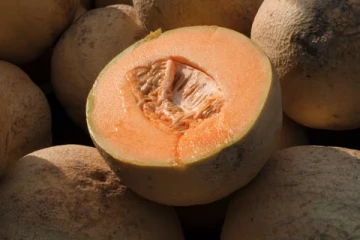 கனடாவில் திரும்பப் பெறப்படும் பழ உணவு ஒன்று: காரணம் இதுதான்...