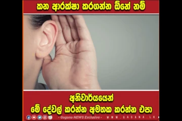 සිරුරේ වැදගත් අවයවයක් වන කන ආරක්ෂා කරගන්න ඕනේ නම්