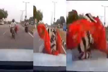 எதிரே வந்த கார் மீது பைக் மோதி விபத்து! அதிர்ச்சி வீடியோ