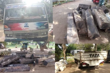 தமிழர் பகுதியில் கருங்காலி மரக்குற்றிகளுடன் இருவர் கைது