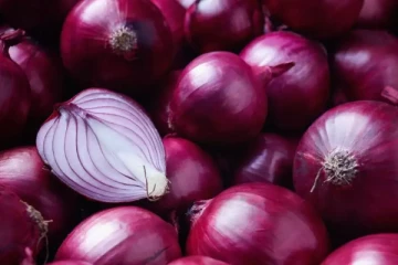 பெரிய வெங்காய அறுவடையில் வீழ்ச்சி