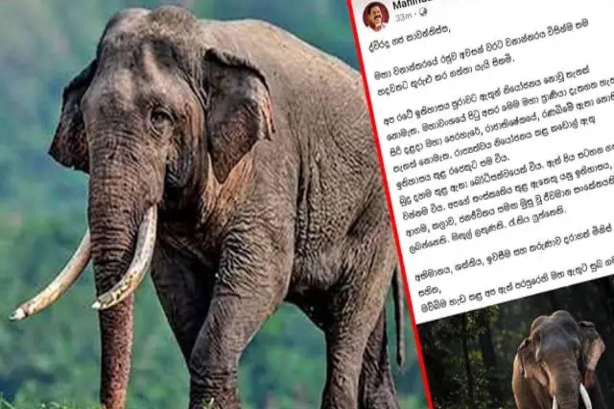 வைத்தியசாலையிலிருந்து முன்னாள் ஜனாதிபதி மகிந்தவின் நெகிழ்ச்சி பதிவு | Former President Mahinda Social Media Post