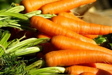 யார் யாரெல்லாம் தினமும் கேரட் ஜூஸ் குடிக்கலாம்!