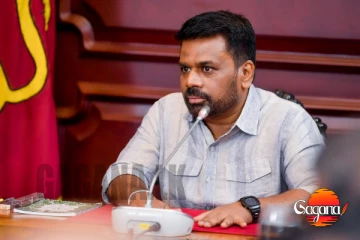 44% බදු ප්‍රතිශතය අපි 30% ට ෂේප් කර ගත්තා, බය වෙන්න එපා තව අඩු කරගමු ජනපති කියයි