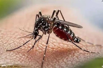 තත්ත්වය ඉතා අවදානම් - රෝගීන් ගණන 92,000 ඉක්මවයි