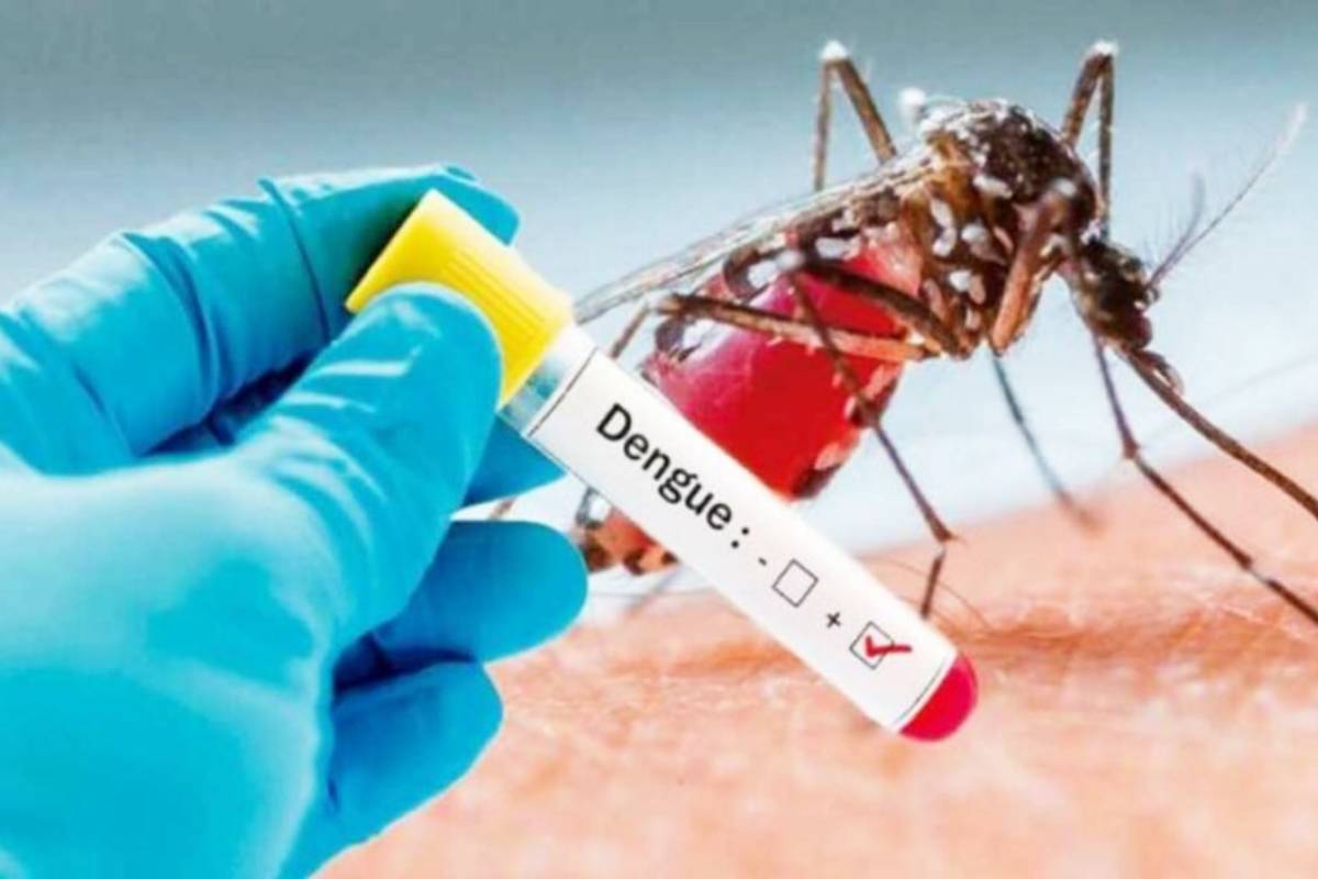 நாட்டில் டெங்கு நோயாளர்களின் எண்ணிக்கை அதிகரிப்பு | 12 Deaths Due To Dengue So Far This Year