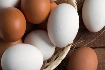 இலங்கையில் முட்டை பிரியர்களுக்கு வெளியான மகிழ்ச்சியான தகவல்!