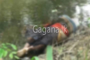 අභිරහස් ලෙස මියගිය 18 හැවිරිදි තරුණියකගේ මළ සිරුරක් හමු තැන.