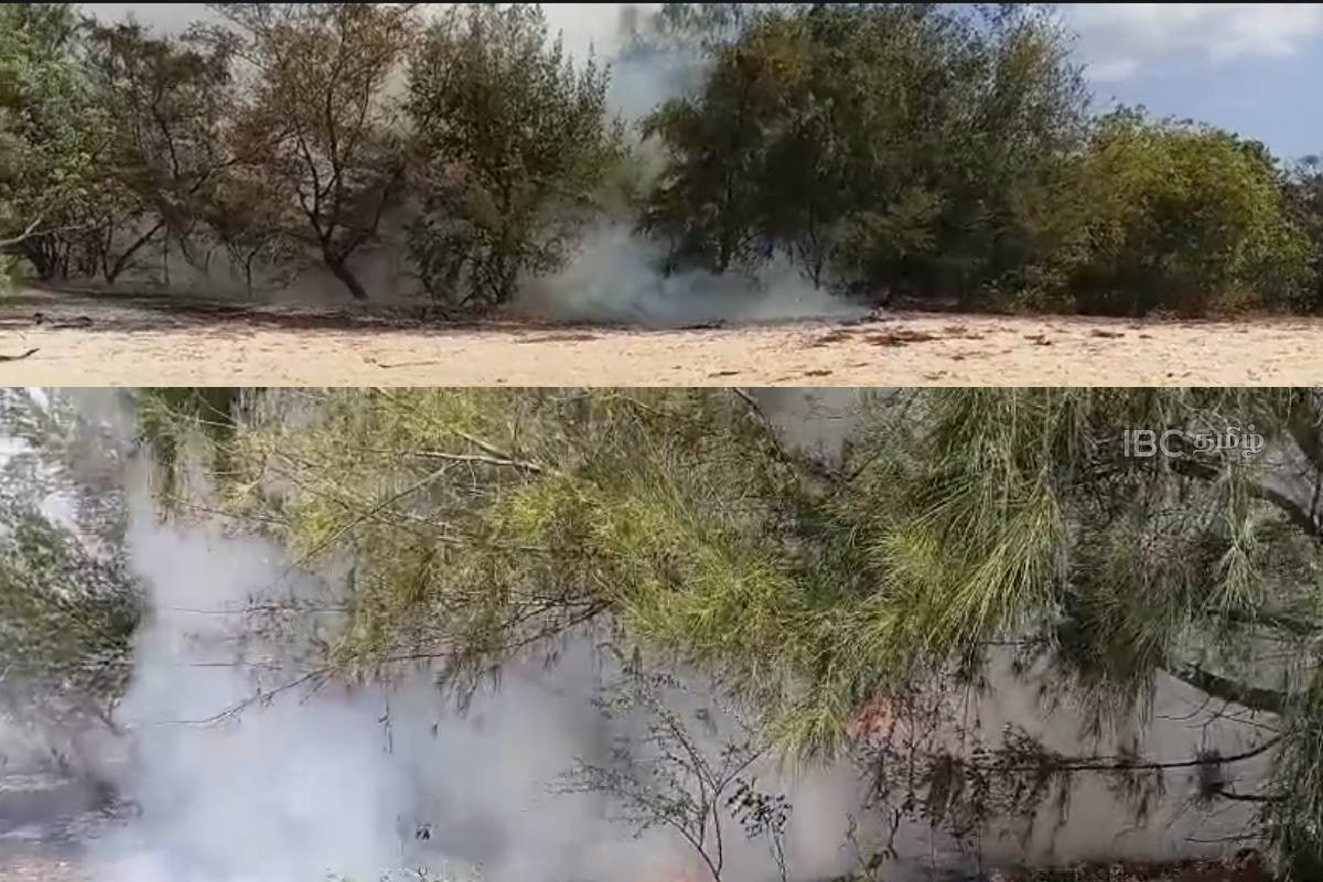யாழ். மணற்காடு சவுக்கங்காட்டில் மீண்டும் தீப்பரவல்! | Fire Breaks Out Again In The Manrkadu Forest யாழ். மணற்காடு சவுக்கங்காட்டில் மீண்டும் தீப்பரவல்! | Fire Breaks Out Again In The Manrkadu Forest