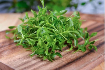 இதுதான் உலகிலேயே மிக ஆரோக்கியமான காய்கறியாம்.. அப்படி என்ன இருக்கிறது தெரியுமா?