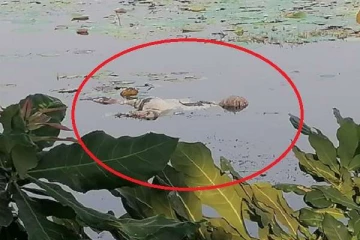 முல்லைதீவில் குளத்தில் மிதந்து வந்த சடலத்தால் பரபரப்பு