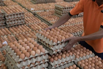 நாளை நாட்டை வந்தடையுள்ள இந்திய முட்டைகள்!