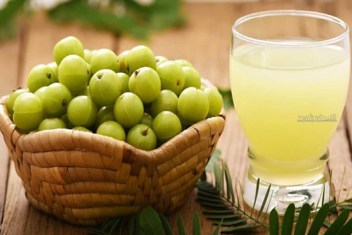 நோயெதிர்ப்பு சக்தியை வலுப்படுத்தும் நெல்லிக்காய்- இந்த உணவுகளுடன் சேர்த்துச் சாப்பிட்டால் இரட்டிப்பு பலன்கள்! | Best Pair With Amla To Boost Immunity Naturally