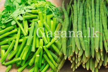 දෙලෝ රත් වෙන මිලට ගණන් ඉස්සූ මුරුංගා. - එක කරලක් කීයද කියලා දන්නවද?