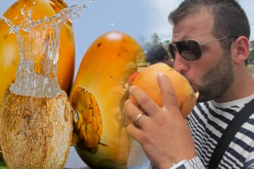 இலங்கை செவ்விளநீர் 2000 ரூபாவிற்கு விற்பனை!