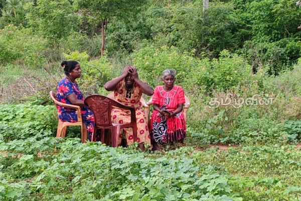 வவுனியாவில் சடலமாக மீட்கப்பட்ட மனைவி: ஏறாவூர் பொலிஸில் சரணடைந்த கணவன் | Wife Murdered Vavuniya Husband Surrenders
