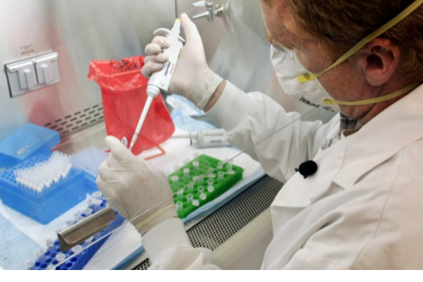 கனடாவில் மூன்று மில்லியன் பறவைகளுக்கு ஏற்பட்டுள்ள நோய் | Avian Flu Outbreak Update Canada
