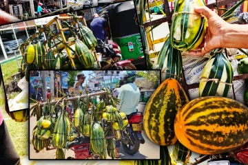 சூட்டை தணிக்கும் வெள்ளரிப்பழம்! விற்பனை வீதம் அமோகம்