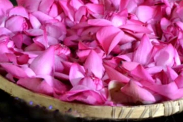 ලක්ෂ 04ට ගිය මල් වට්ටිය..