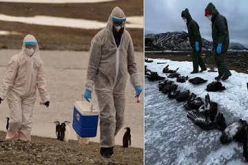 கொரோனாவை விட 100 மடங்கு அபாயகரமான தொற்று - 1000க்கும் மேற்பட்ட உயிர்கள் பலி!