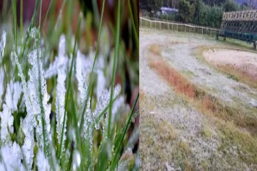 நுவரெலியா நகரில் பூப்பனி பொழிவு