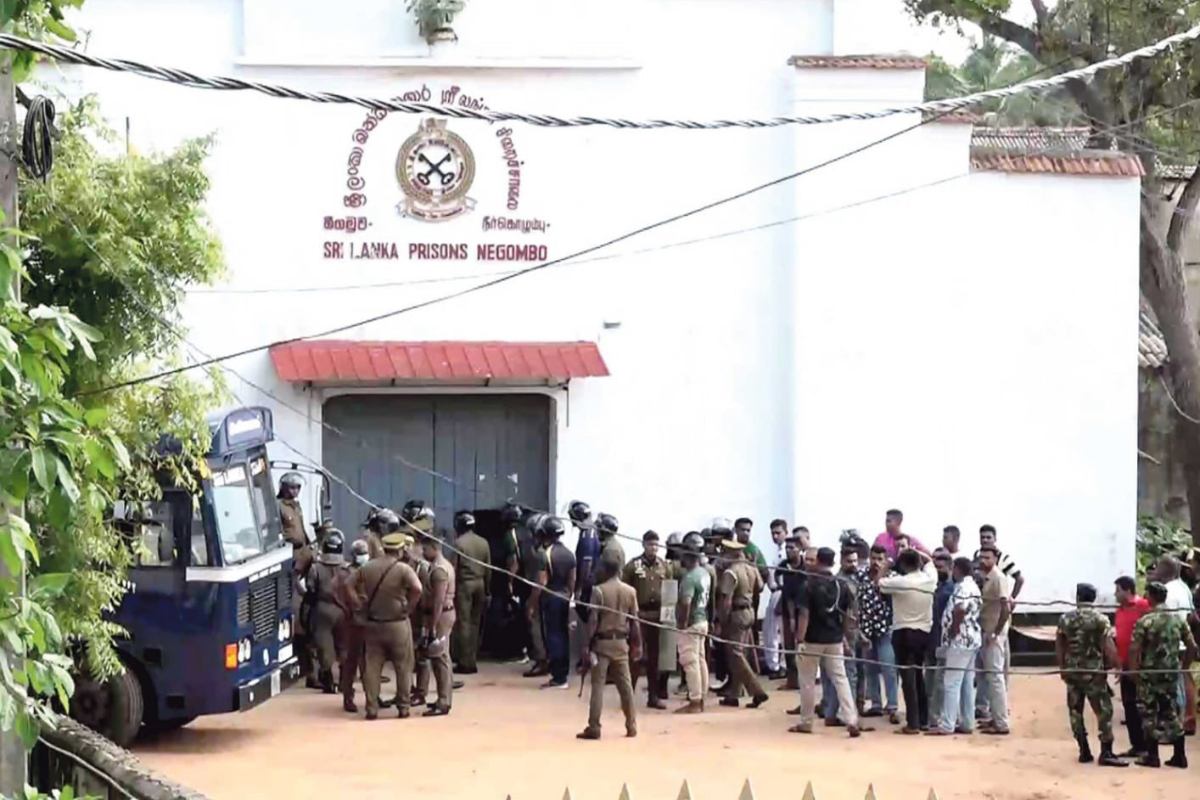 நீர்கொழும்பு சிறைச்சாலை மோதல் விவகாரம் : விசேட விசாரணைக் குழு நியமனம் | Negombo Prison Clash Investigation Team Appointed நீர்கொழும்பு சிறைச்சாலை மோதல் விவகாரம் : விசேட விசாரணைக் குழு நியமனம் | Negombo Prison Clash Investigation Team Appointed