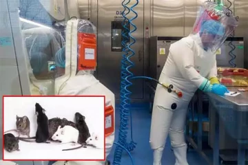 100% மனிதர்களை கொல்லும் வைரசை ஆய்வு செய்யும் சீனா - உலக மக்களுக்கு விடுக்கப்பட்ட எச்சரிக்கை