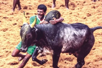 ஜல்லிக்கட்டு போட்டிக்கு 10 முக்கிய கட்டுப்பாடு விதித்த காவல்துறை: அதிகாரிகள் ஆய்வு