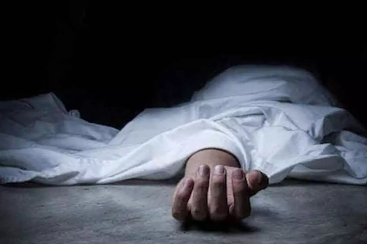 முனைக்காடு கிராமத்தில் யானை அட்டகாசம்: சிகிச்சை பெற்று வந்த முதியவரும் உயிரிழப்பு! | Elephant Attack In Munaikkadu Village