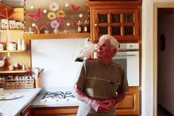 பிரான்சு நாட்டில் முதியவரின் தோளில் தஞ்சமடைந்த புறா!