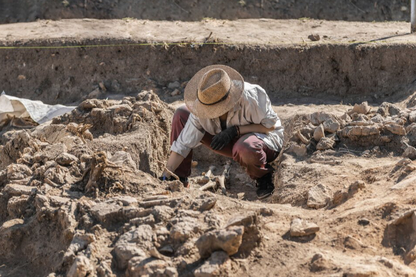 ஜனாதிபதி மாளிகைக்குள் தொல்பொருள் திணைக்கள குழு! | Department Of Archeology Committee Inside