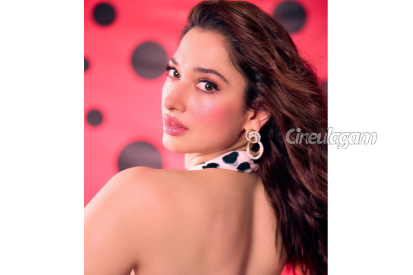 நம்பும் அளவுக்கு முட்டாள்.. நடிகை தமன்னாவுக்கு வெறுப்பு தரும் விஷயம், என்ன? | Tamannaah Open Talk About What She Dislike நம்பும் அளவுக்கு முட்டாள்.. நடிகை தமன்னாவுக்கு வெறுப்பு தரும் விஷயம், என்ன? | Tamannaah Open Talk About What She Dislike