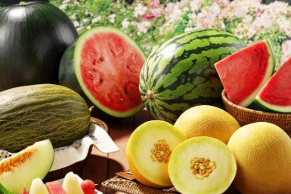 குழந்தைகளை புத்துணர்ச்சியாக வைத்திருக்க வேண்டுமே? இந்த உணவுகளை கொடுங்கள் | Should Children Always Kept Refreshed Give Foods