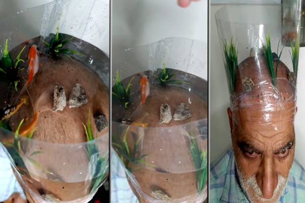 வழுக்கை தலையில் மீன் தொட்டியா? முதியவர் தலையில் இளைஞர் செய்த சாகசம் | Bald Head Fish Tank Viral Video வழுக்கை தலையில் மீன் தொட்டியா? முதியவர் தலையில் இளைஞர் செய்த சாகசம் | Bald Head Fish Tank Viral Video