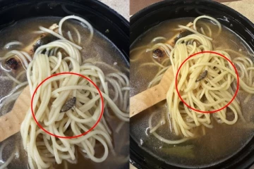 நூடுல்ஸ் உணவில் மிதந்த கரப்பான் பூச்சி! Zomatoவில் ஆர்டர் செய்த பெண்ணுக்கு அதிர்ச்சி