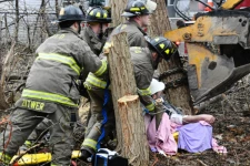 கனடாவில் மரத்தை வெட்டிய நபரின் உயிரை பறித்த அதே மரம்! வெளியான முழு பின்னணி