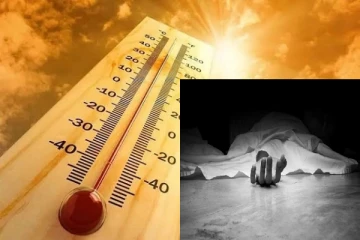 உலகம் முழுவதும் வெப்ப அலையால் உயிரிழப்போர் எத்தனைபேர் தெரியுமா..!