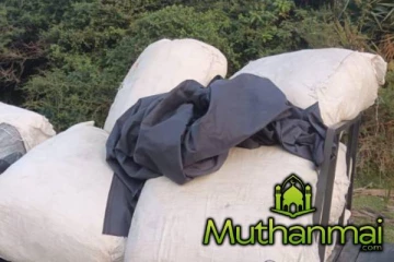 வேலணையில் விவசாய பூச்சி கொல்லிகளுடன் நால்வர் கைது