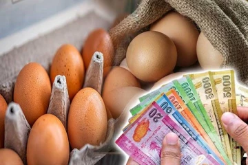 முட்டை இறக்குமதி தொடர்பில் வெளியான அறிவிப்பு